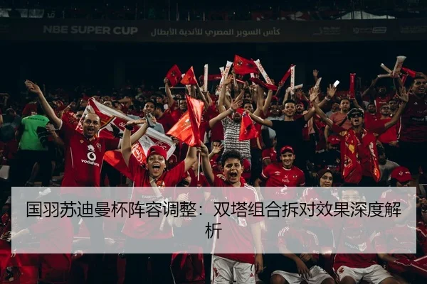 国羽苏迪曼杯阵容调整：双塔组合拆对效果深度解析