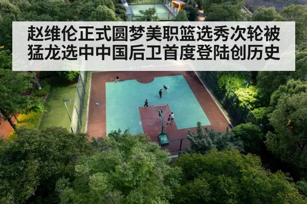 chinese basketball player